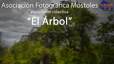 destacada Exposición Museo de la Ciudad de Móstoles copia