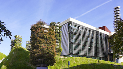 destacada TEATRO DEL BOSQUE