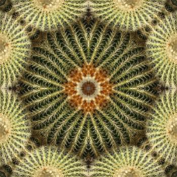 FOTO EXPOSICIÓN PACO FERNÁNDEZ SAURA. CALEIDOSCOPIO. C.NORTE-UNIVERSIDAD