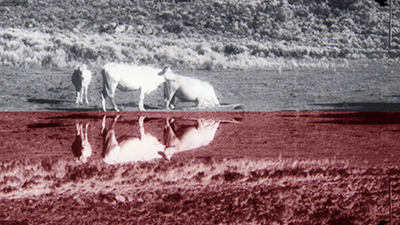 destacada Exposición María José Perales Micó Museo marzo 2025 copia