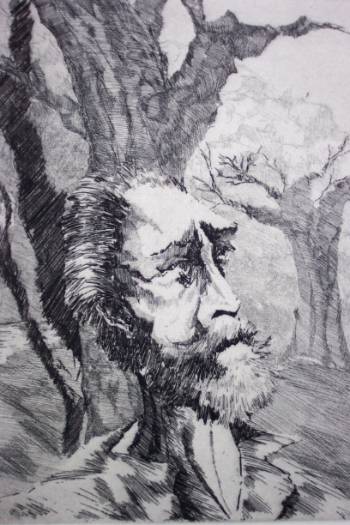 Árboles, yerbas... Don Quijote I cap_FOTO EXPO VILLA