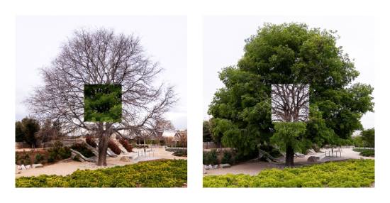 El Solitario - Estudio 1 1 red