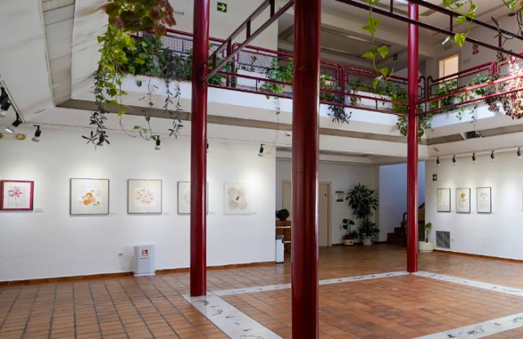 Centro Sociocultural Joan Miró (4)