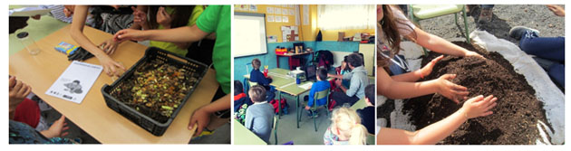 MÓSTOLES COMPOSTA 11