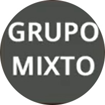 Grupo Mixto