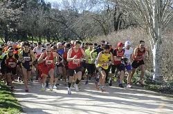 Carrera pro Banco de Alimentos SEREMER (17)