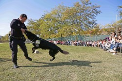 perros policia colegio 1