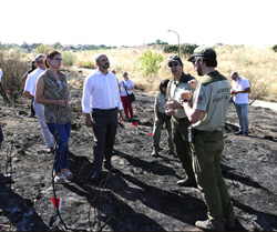 noticia Investigación de incendios en Parque Coimbra 1