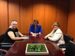 Reunión Asociación Constelaciones