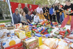 MOSTOLES SOLIDARIO 2