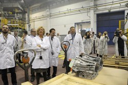 Visita a MARTINREA HONSEL 8