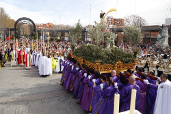 Domingo de Ramos 14