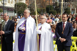 Domingo de Ramos 16