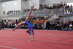 Centro Deportivo Rafa Martínez 14