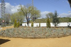 Finalización Obras Camino del Obispo 4