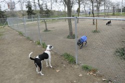Rehabilitación Calle Niza 6