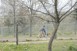 Rehabilitación Calle Niza 10