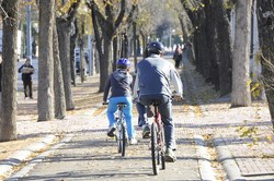 CARRIL BICI 1