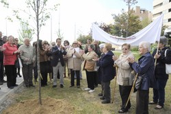 Un arbol por el Parkinson 9