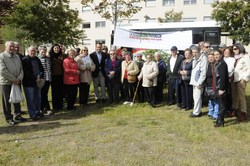 Un arbol por el Parkinson 10