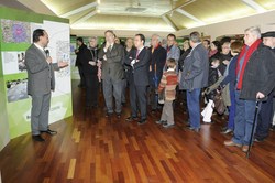 Renovamos Mostoles 5