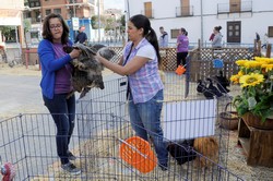 Granja animales Pza. España 3