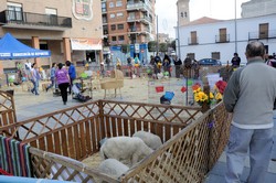 Granja animales Pza. España 11