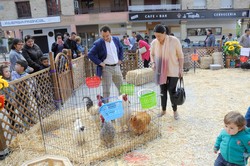 Granja animales Pza. España 16