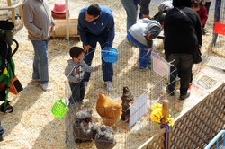 Granja animales Pza. España 22