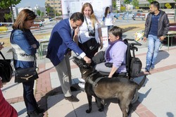 Día del Niño Pza. del Sol 3