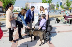 Día del Niño Pza. del Sol 4