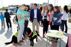 Día del Niño Pza. del Sol 7
