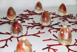 TarjetaJohanna Speidel