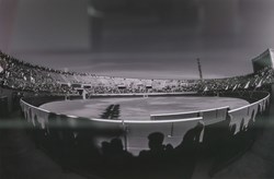 Primer Premio 2018 Sombras Expectantes