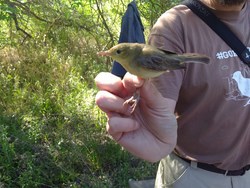 Programa actividades Aula de la Naturaleza