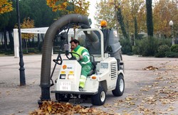 plan especial de recogida de las hojas