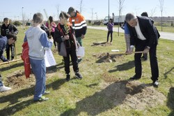Día mundial del arbol 138