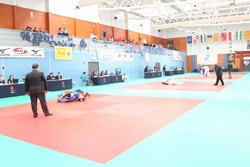 Fotos Campeonato Judo 4