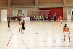 fsf mostoles 4