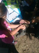 Taller Anillamiento de aves