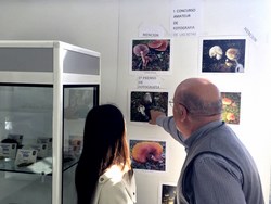 Certamen fotografía Setas 2