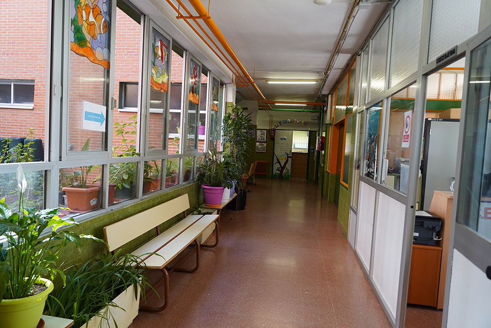 Formación para hacer frente y denunciar el acoso escolar en las aulas o en las redes sociales