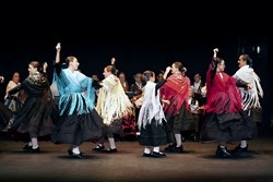 féstival benéfico casas regionales 1