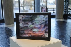 Visita Expo Vietnam Dualidad 4