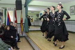 Festival solidario CASA ANDALUCIA 1