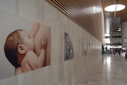 Jornadas Lactancia Materna 4