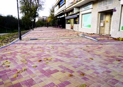 visita finalización obras Av Alcalde de Móstoles 1