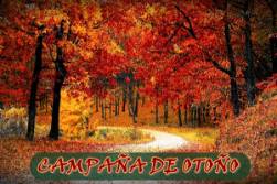 Campaña Otoño