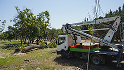 Parque el soto (4) p