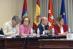 pleno Ayuntamiento